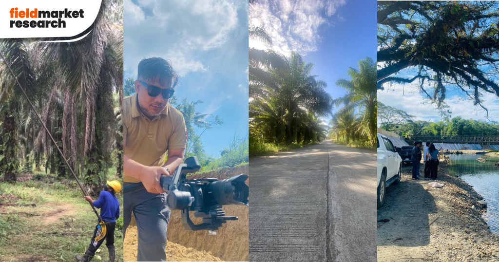 Aborlan Palawan Palm Oil Trees - Farm-to-market road documentation