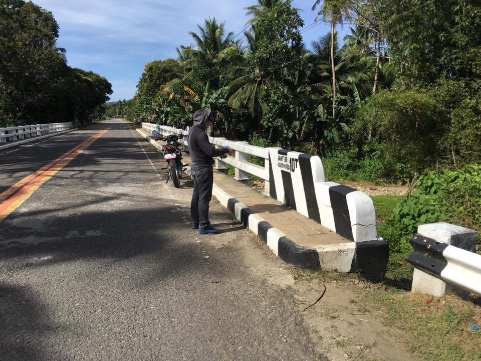 Bridge Capacity Inspection