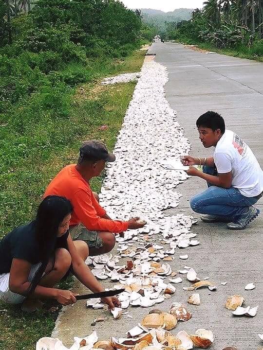 Copra Farmers Interview Philippines