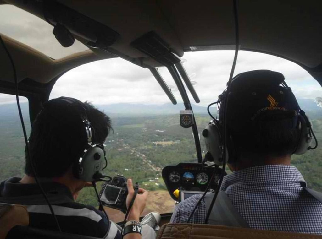 Falcata Tree Aerial Inspections