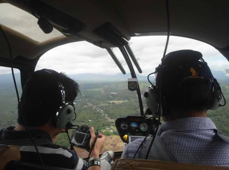 Falcata Tree Aerial Inspections
